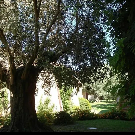 Oda ve Kahvaltı Fattoria Il Borghetto